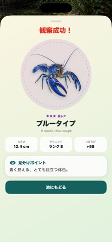 ぼくのザリガニ池 アプリ画面 8