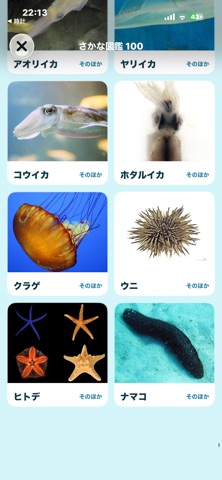 ぼくのさかなつり アプリ画面 5