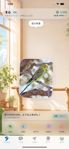 ぼくのインコ アプリ画面 2