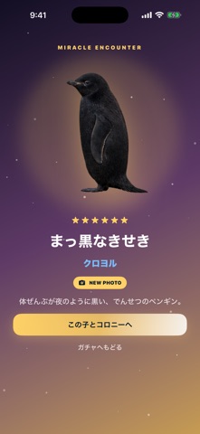 ぼくのペンギン アプリ画面 4