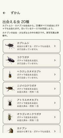 ぼくのようちゅう アプリ画面 5