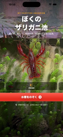 ぼくのザリガニ池 アプリ画面 3