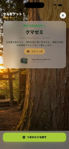 ぼくのせみとり アプリ画面 6