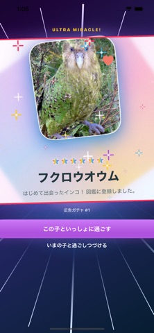 ぼくのインコ アプリ画面 1