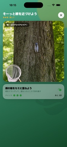 ぼくのせみとり アプリ画面 3